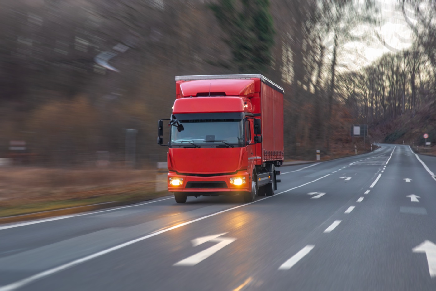 Domestic cargo transportation